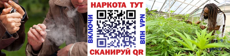 Какие есть наркотики Курлово Кокаин МЕГА зеркало ГАШИШ Меф Alpha-PVP