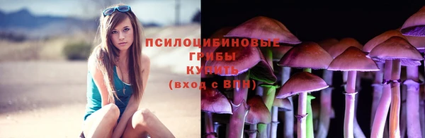 дживик Балабаново