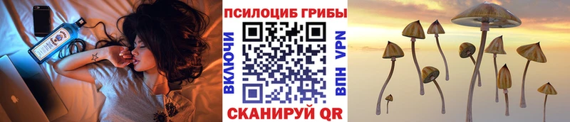 наркошоп  Курлово  Галлюциногенные грибы MAGIC MUSHROOMS 